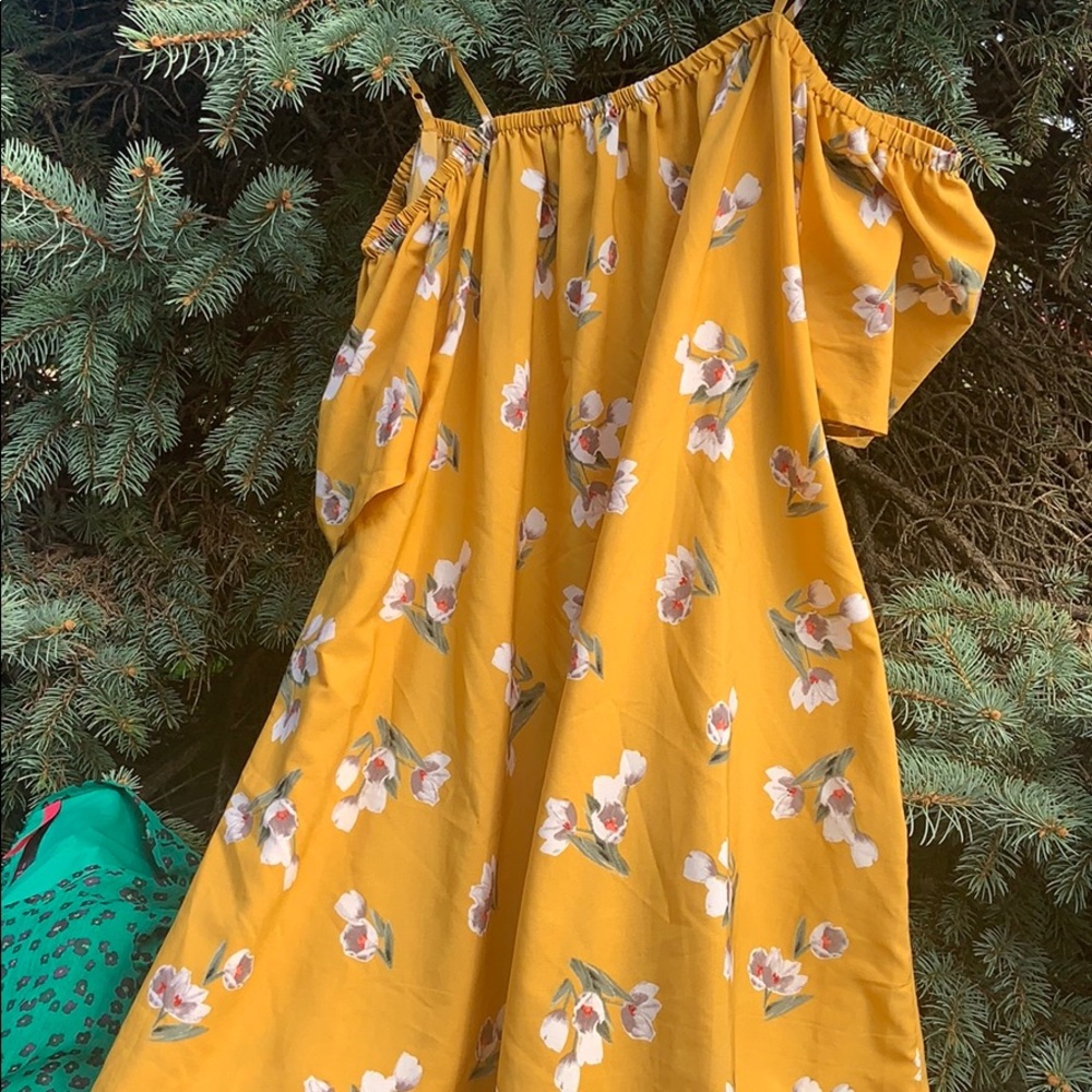 Brand new indulge sundress